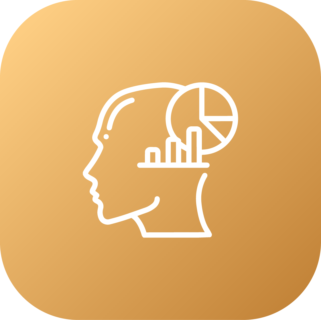 Strong Foundation in Data Analytics